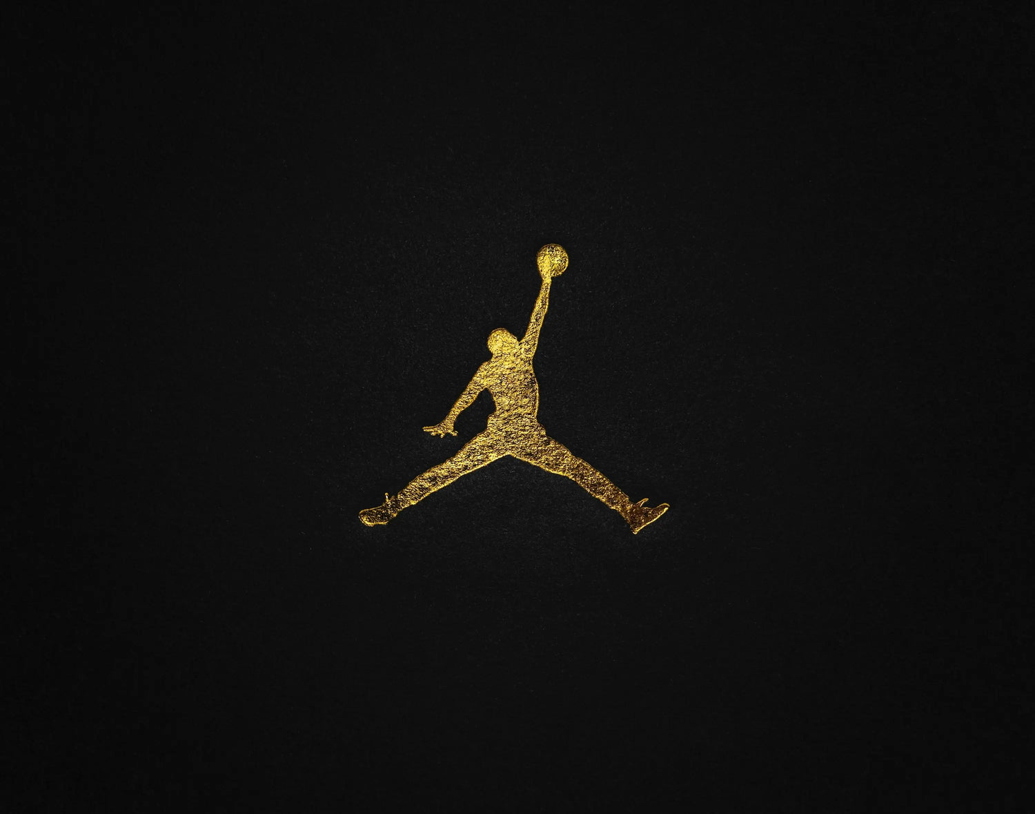 JORDAN COOLANDBAG