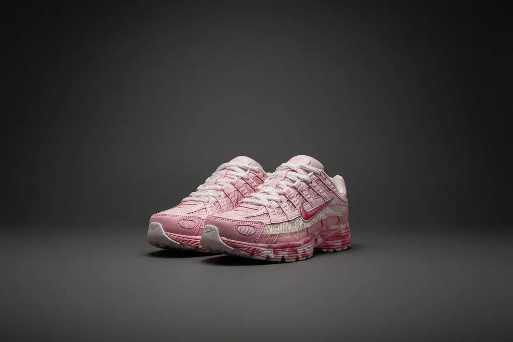 NIKE P-6000  COOLANDBAG