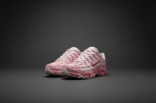 NIKE P-6000  COOLANDBAG