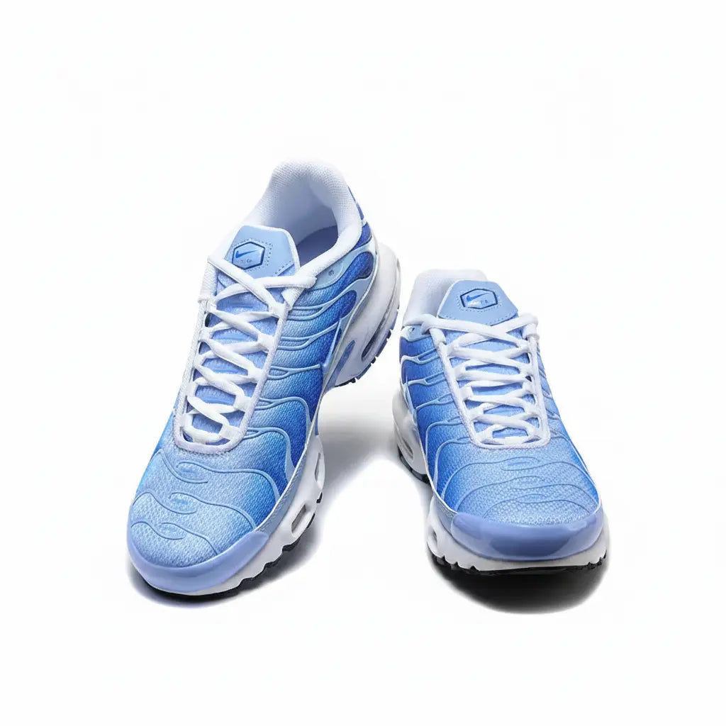 Nike Air Max Plus Tn  COOLANDBAG