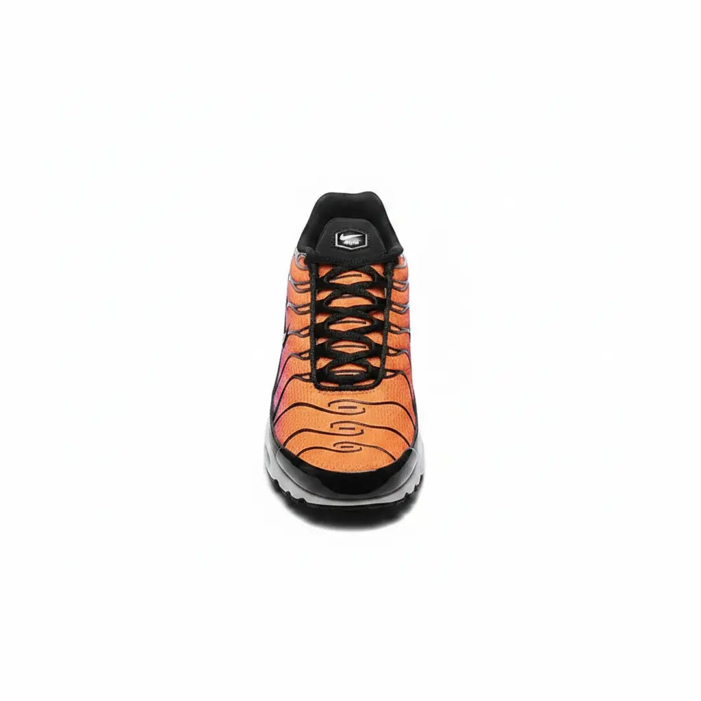 Nike Air Max Plus Tn  COOLANDBAG