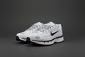 Nike P-6000 COOL&BAG